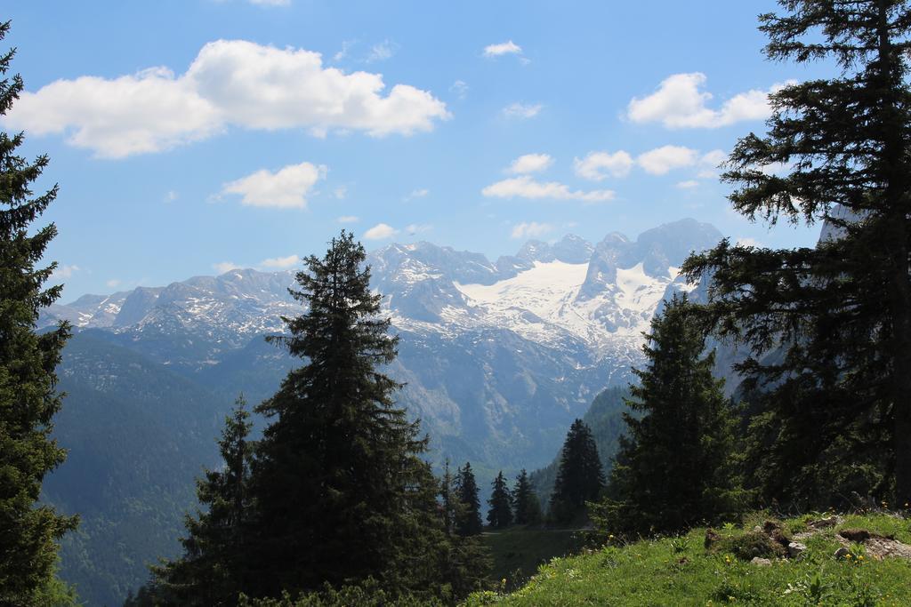 Salzburger Dolomitenhof Аннаберґ-ім-Ламмерталь Екстер'єр фото