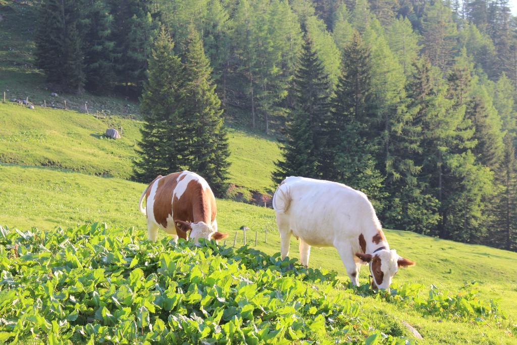 Salzburger Dolomitenhof Аннаберґ-ім-Ламмерталь Екстер'єр фото