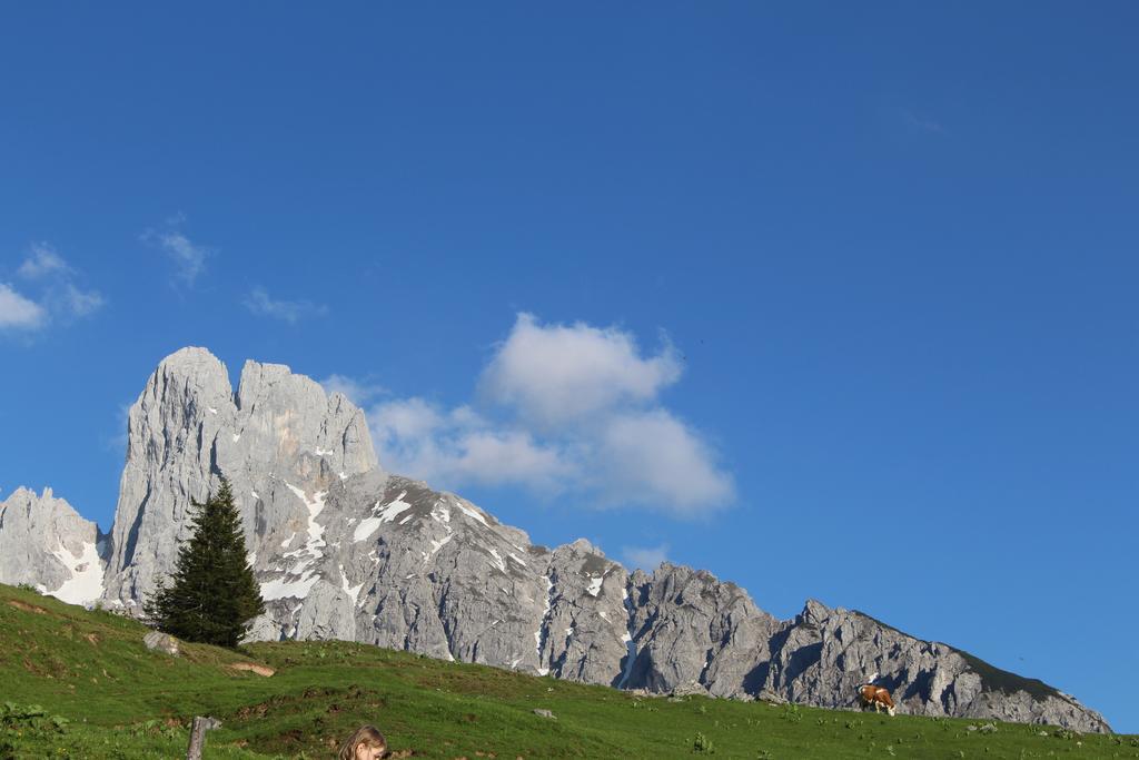 Salzburger Dolomitenhof Аннаберґ-ім-Ламмерталь Екстер'єр фото