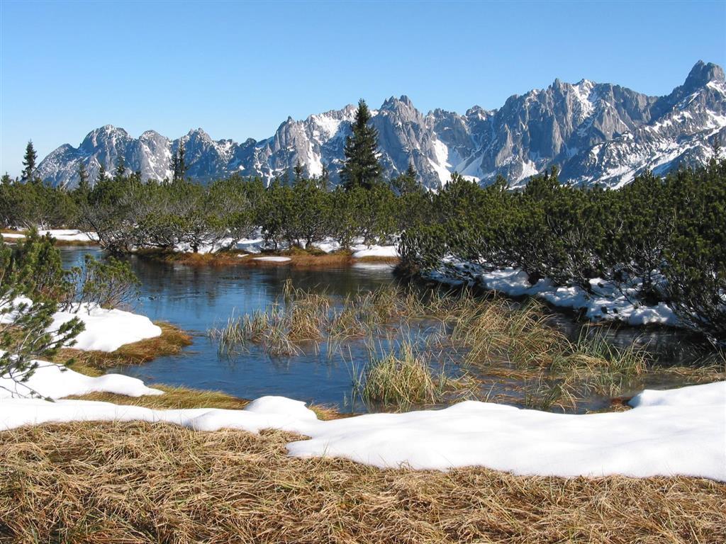 Salzburger Dolomitenhof Аннаберґ-ім-Ламмерталь Екстер'єр фото