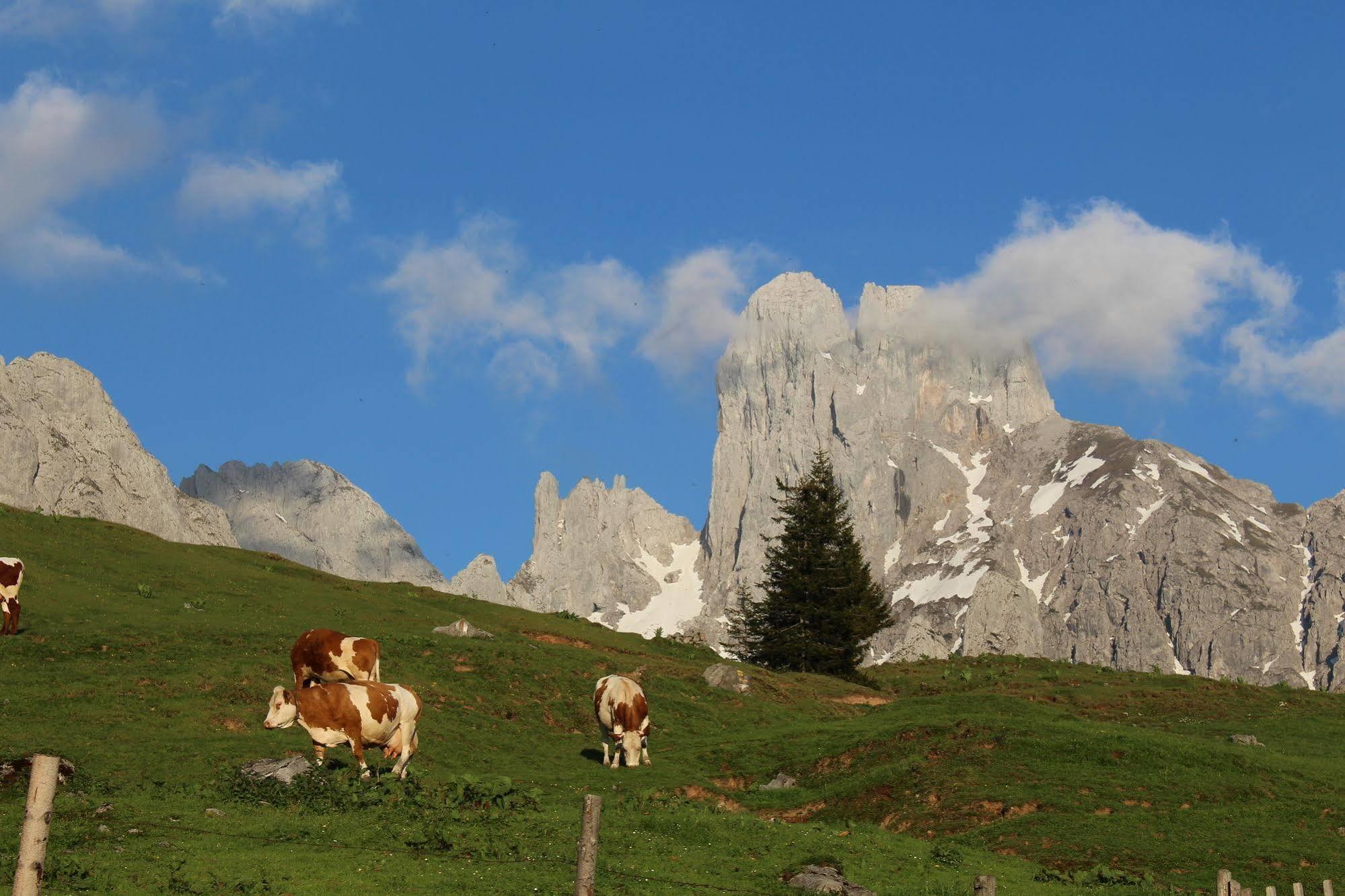 Salzburger Dolomitenhof Аннаберґ-ім-Ламмерталь Екстер'єр фото